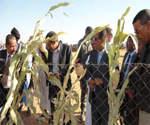   مصر اليوم - عودة فتح باب التمويل للمزارعين الموريتانيين